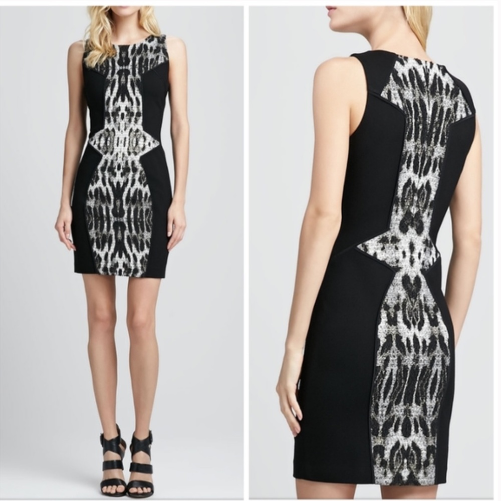Rebecca Minkoff Moulin Cheetah Animal Print Dress
